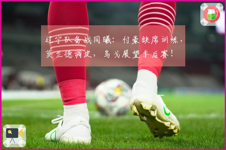 辽宁队备战同曦：付豪缺席训练，莫兰德调皮，乌戈展望季后赛！